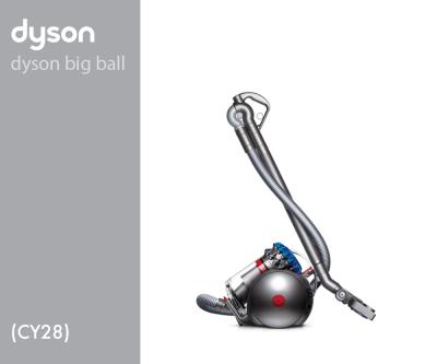 Dyson CY28 28566-01 CY28 Parquet 2 EU Ir/SRPu/Ir 228566-01 (Iron/Sprayed Purple/Iron) 2 onderdelen en accessoires